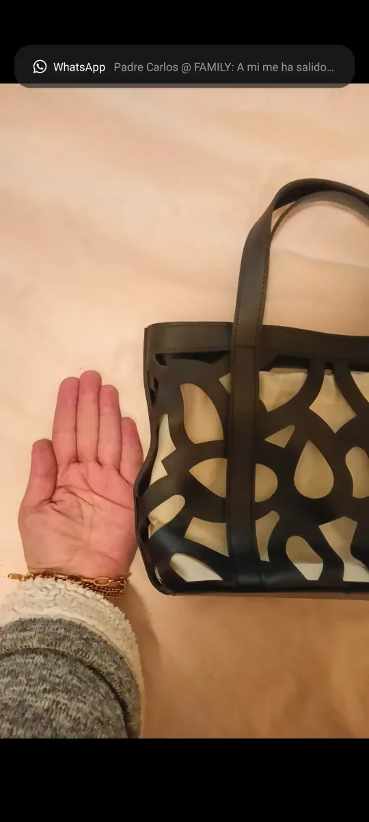 Bolso Negro y Beige con Diseño Calado