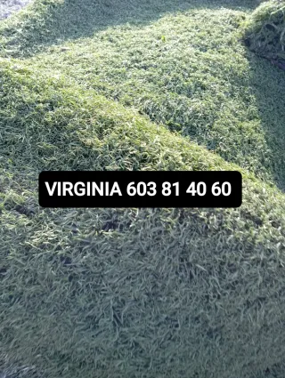 Venta césped artificial