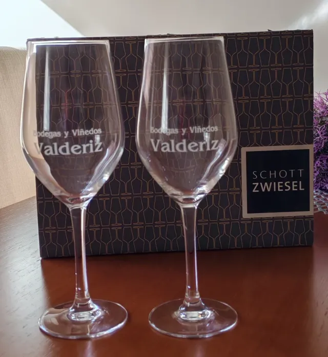 Juego 2 Copas Schott Zwiesel Valderiz