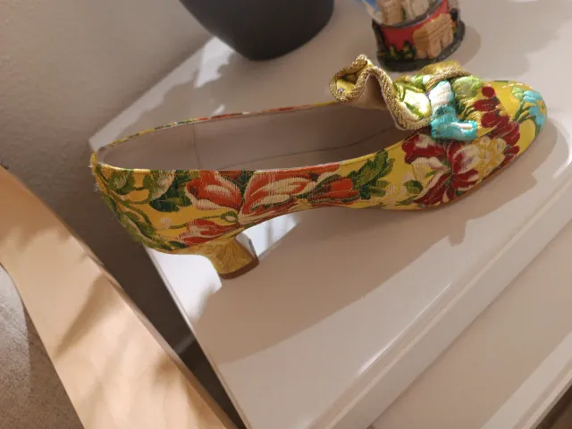 Traje de Fallera con Manteletas y Zapatos