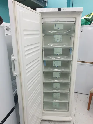 Congelador Vertical 1.85m x 60cm