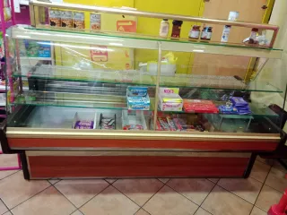 Expositor Refrigerado Tienda