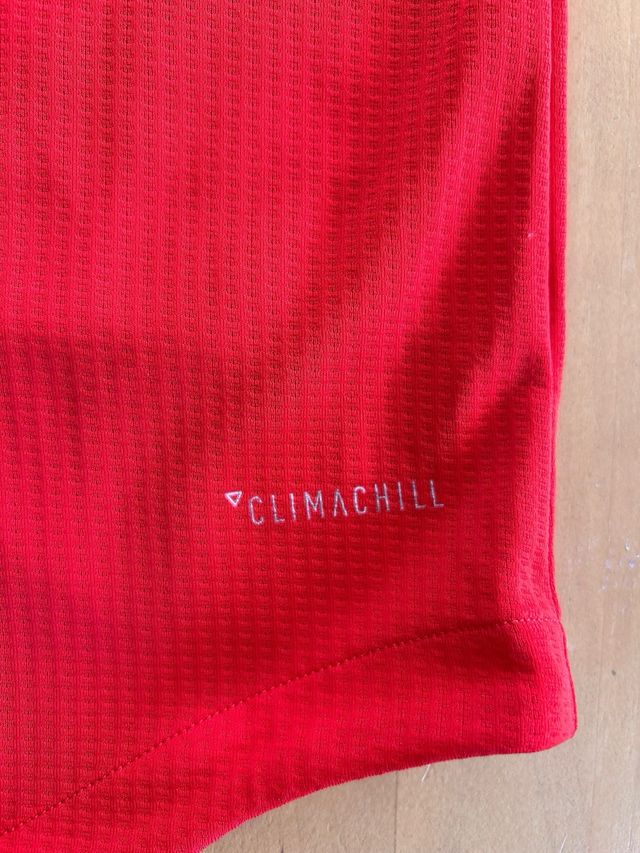 Camiseta Selección Española Fútbol 2018 pro