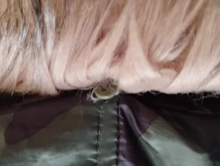 Plumífero camuflaje con capucha