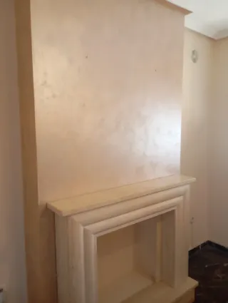 Pintor económico