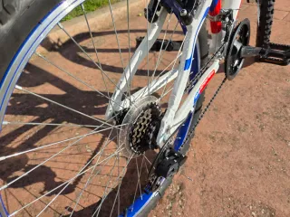 Bicicleta Infantil 24 DTB XTREME