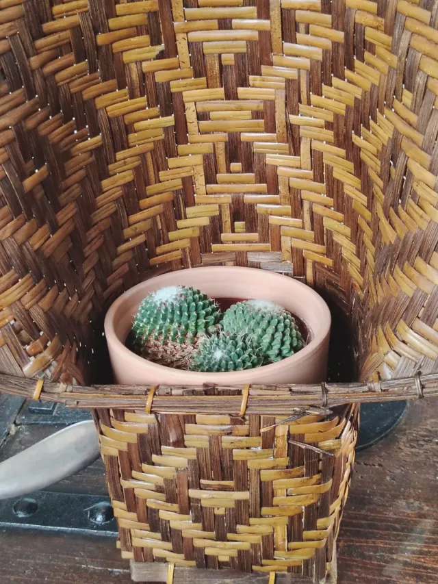 Jardinera vintage de mimbre/ratán