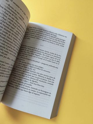 Los niños desaparecidos (Spanish Edition)