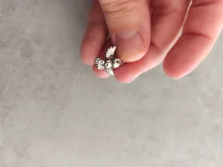 Charm Hedwig Pandora Plata