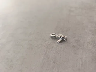 Charm Hedwig Pandora Plata