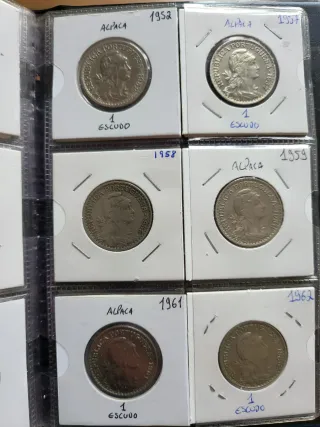 Coleção 1 Escudo República Portuguesa Alpacas