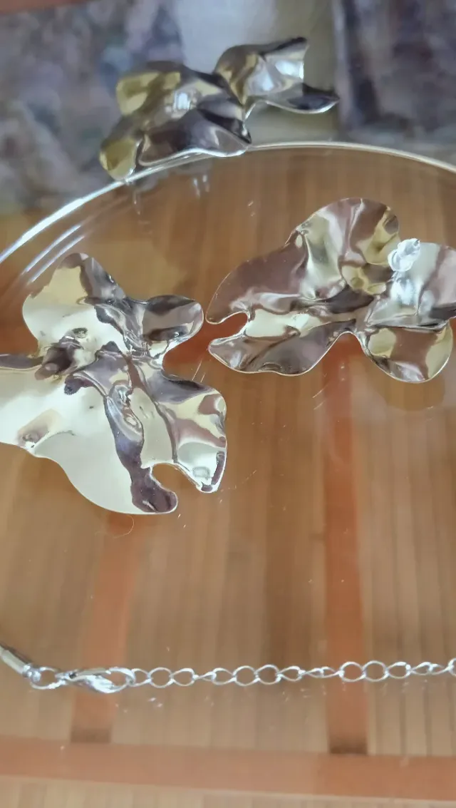 Conjunto Collar y Pendientes Plata Zara