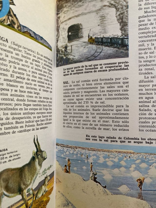 Enciclopedia Ciencias Naturales Bruguera (5 Tomos)