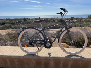 2 Bicicletas de Paseo Verdes