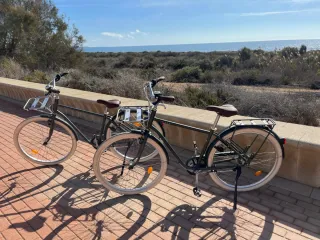 2 Bicicletas de Paseo Verdes