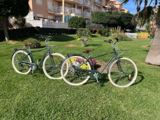 2 Bicicletas de Paseo Verdes