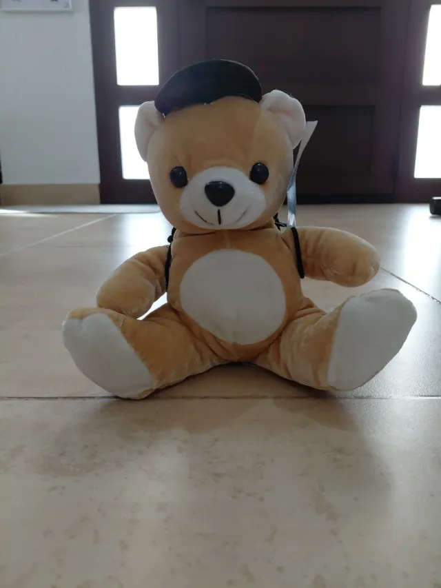 Oso de peluche con gorra