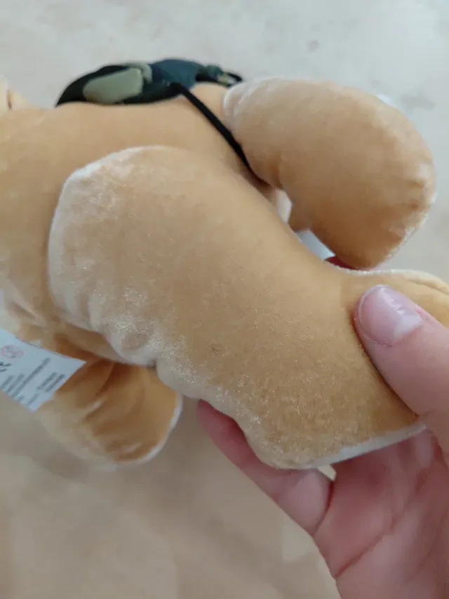 Oso de peluche con gorra