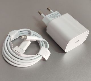 Caricabatterie rapido 20W compatibile con iPhone 14/13/12/11