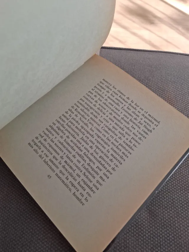 Julio Cortazar. Prosa del observatorio.