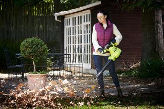 RYOBI - Soplador/Aspirador/Triturador 2800 W