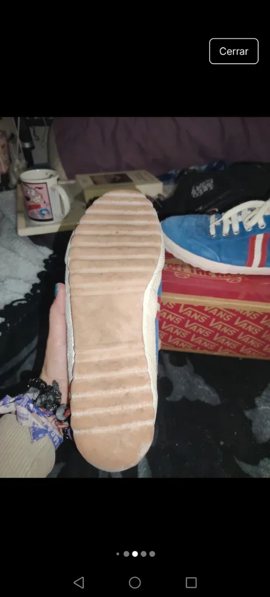 Zapatillas El Ganso Azul y Rojo