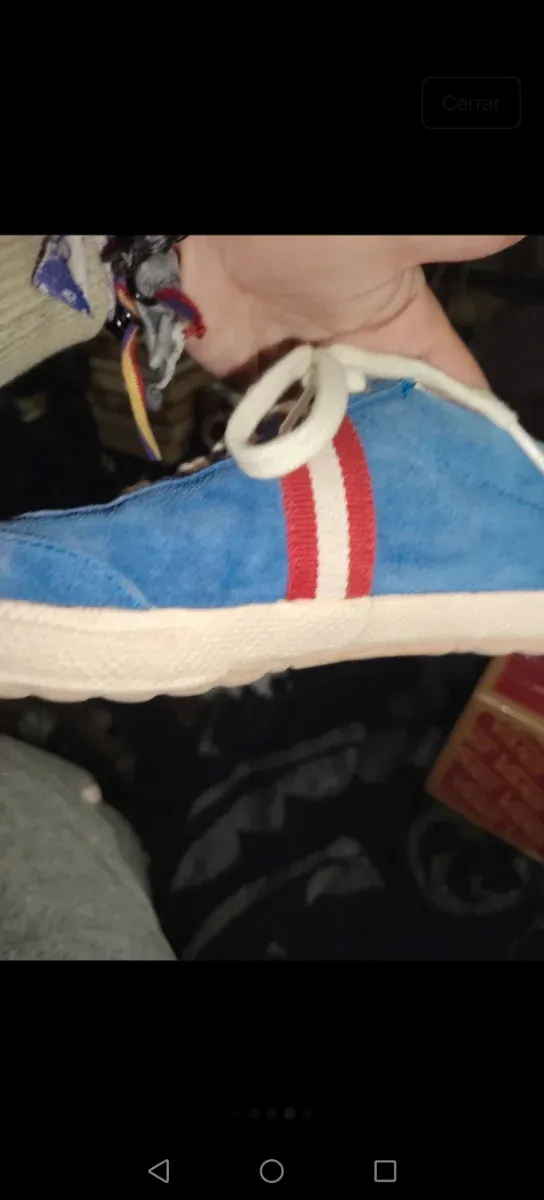 Zapatillas El Ganso Azul y Rojo