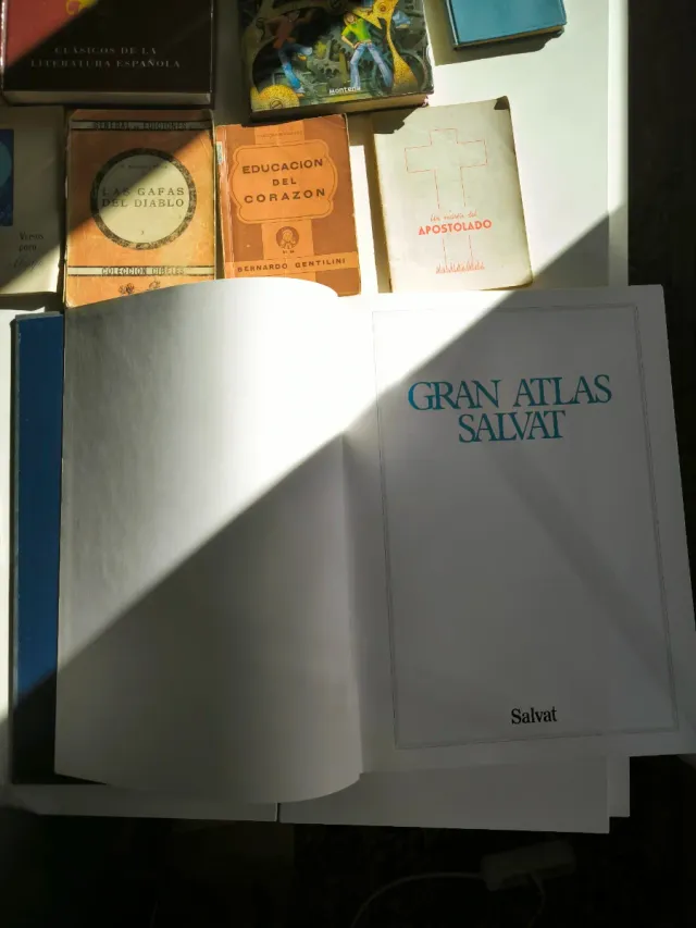 Lote 15 libros variados