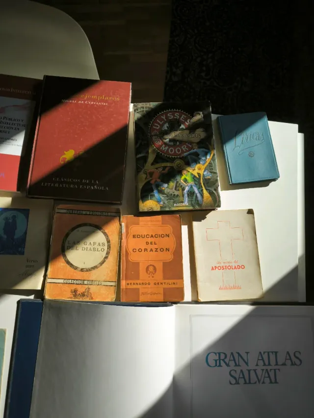 Lote 15 libros variados