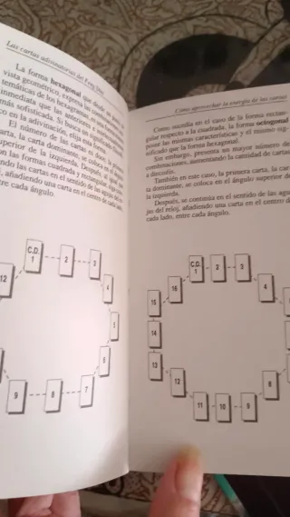 Las castas adivinatorias del Feng Shui