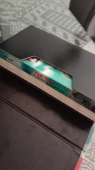 Las castas adivinatorias del Feng Shui