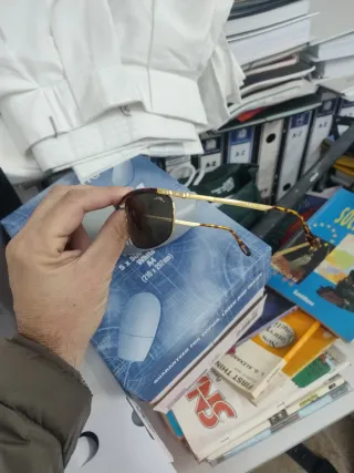 Gafas de Sol Sting Marrón y Dorado