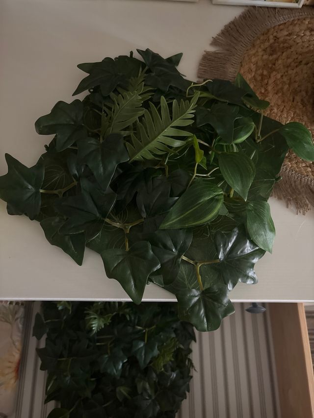 Jardín Vertical Cuadrante 20x20