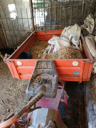 Motocultor con remolque y aperos