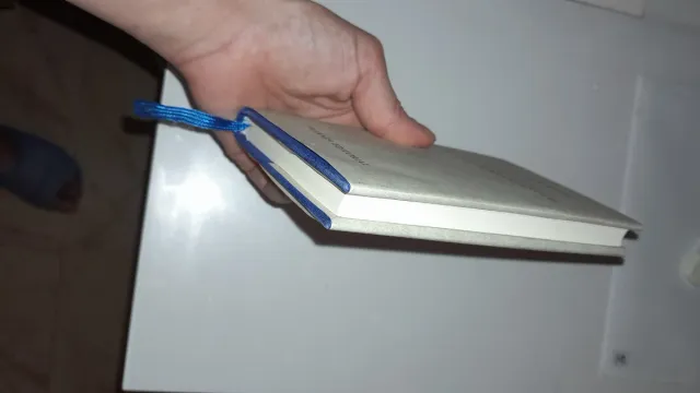 El bosque de los pensamientos (Spanish Edition)