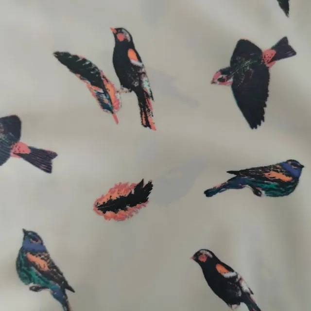 Blusa H&M pájaros