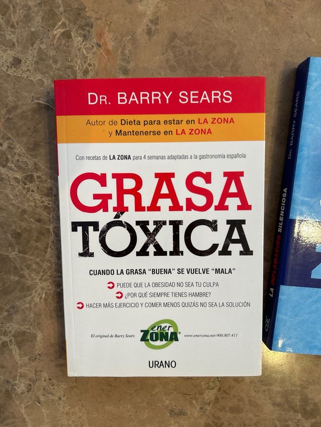 La inflamación silenciosa (Spanish Edition)