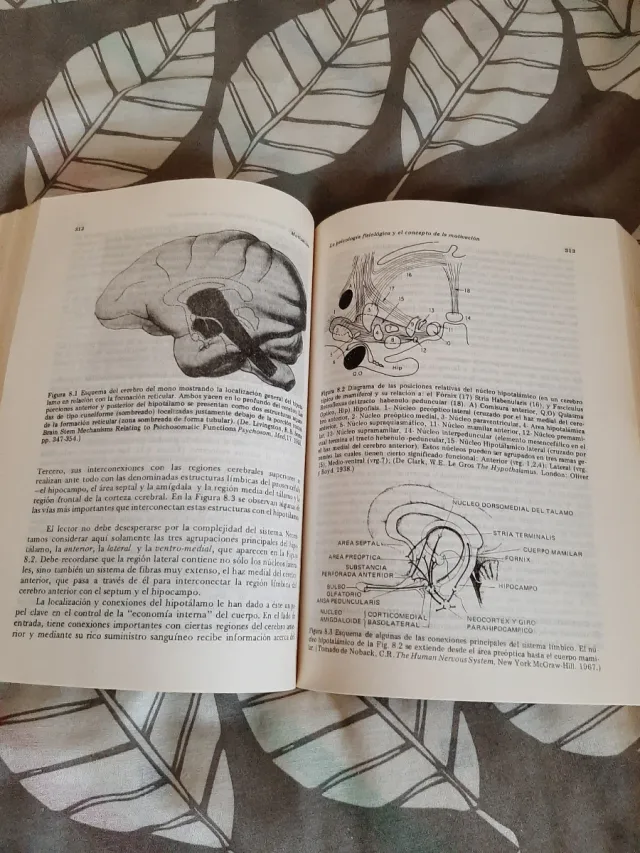 Introducción a la Psicología fisiológica