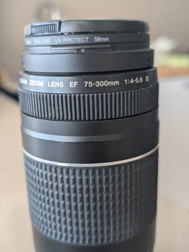 Canon EOS 1000D Kit Lentes y Accesorios