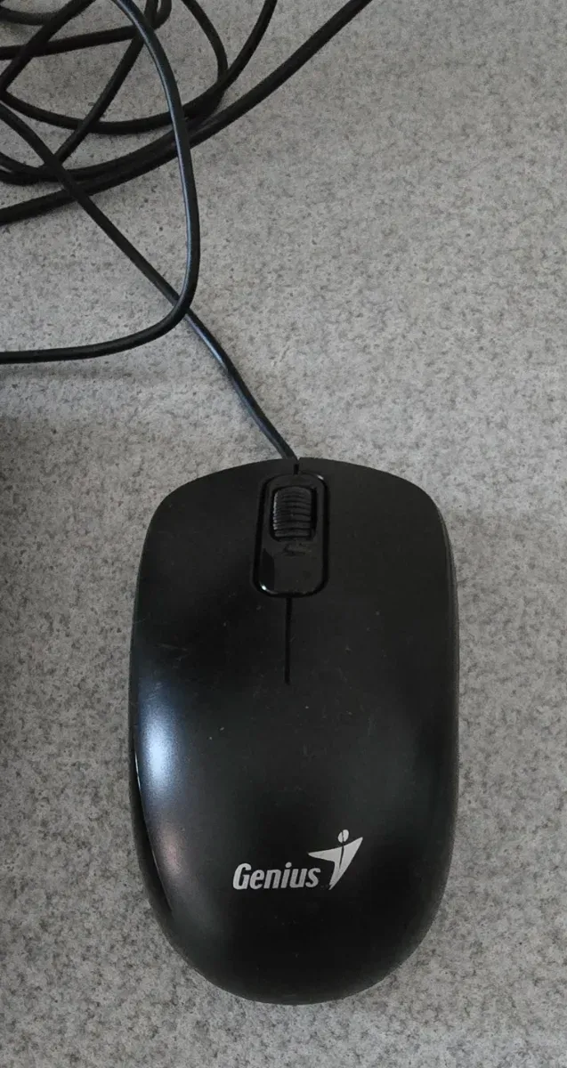 Ratón Genius Negro USB