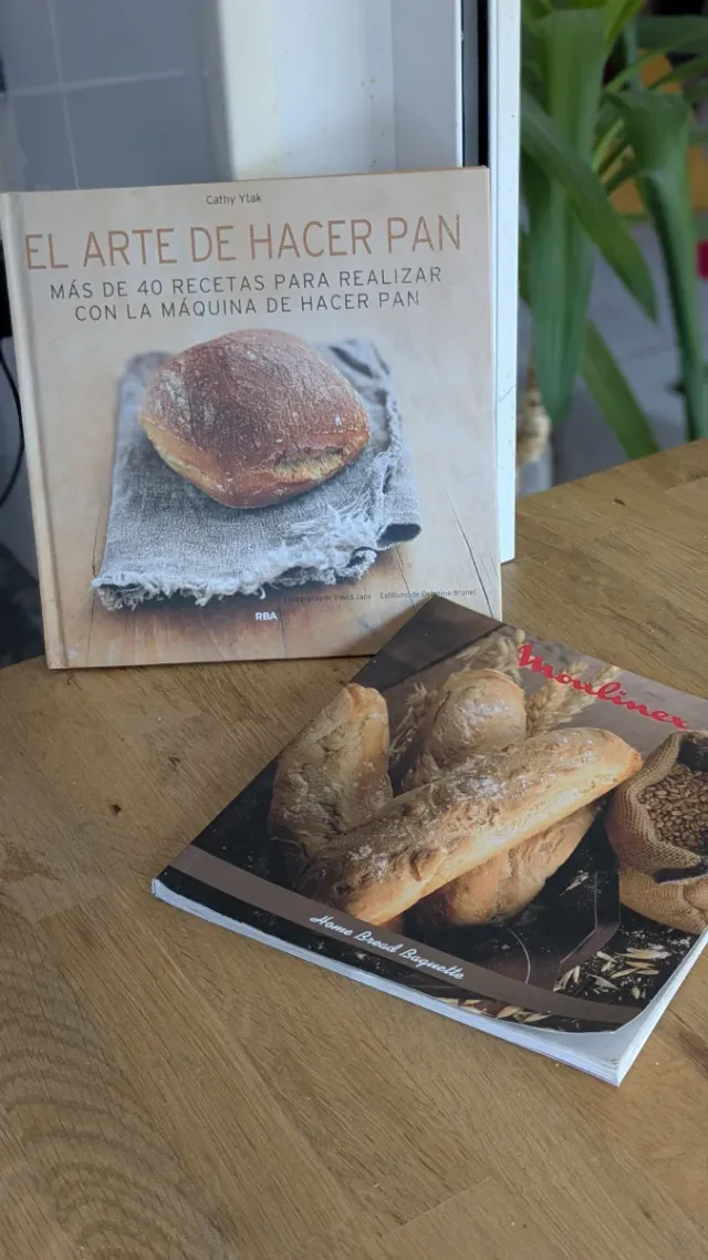 Panificadora Moulinex Home Bread Baguette