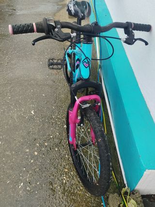 Bicicleta Infantil Megamo 20