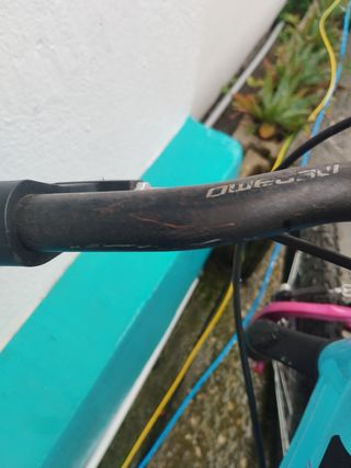 Bicicleta Infantil Megamo 20