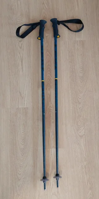 Bastones de esquí