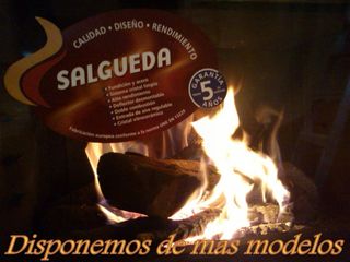 Insert de leña con instalacion incluida