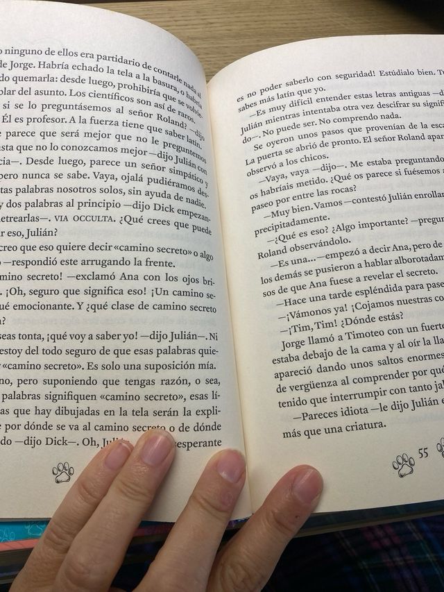 LOS CINCO VIVEN UNA NUEVA AVENTURA