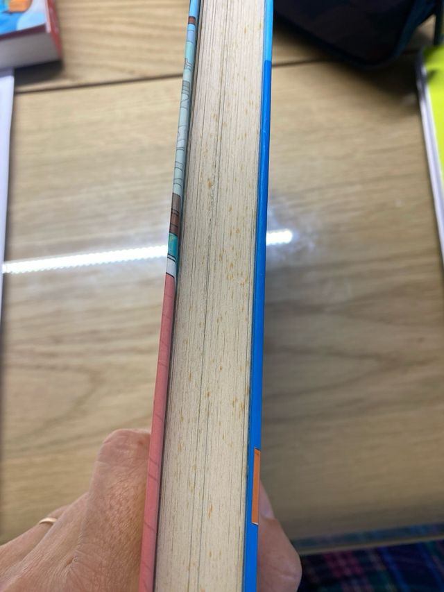 LOS CINCO VIVEN UNA NUEVA AVENTURA