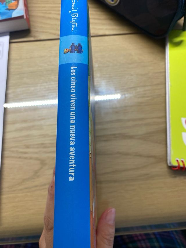 LOS CINCO VIVEN UNA NUEVA AVENTURA