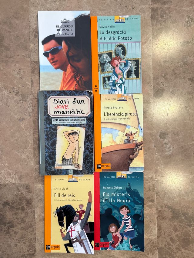 Diari d'un jove maniàtic