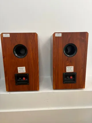 Altavoces pasivos madera y negro Perfecto estado